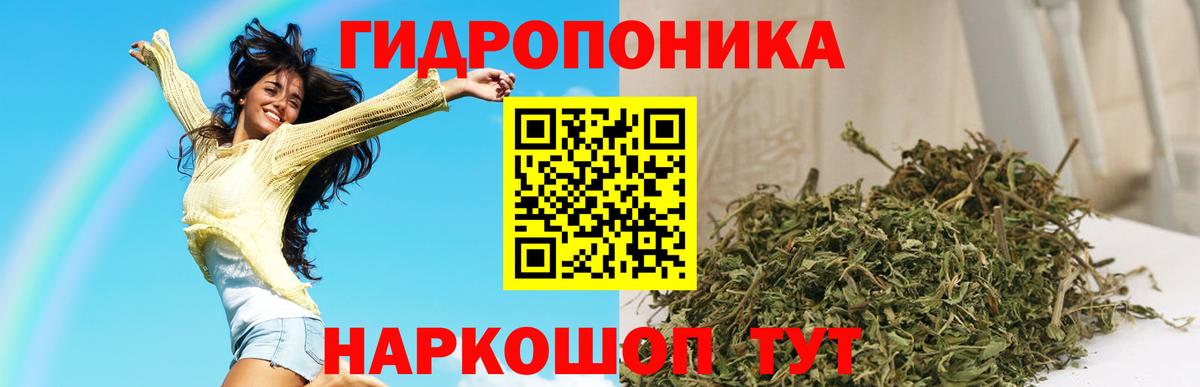 Бошки Шишки Киров